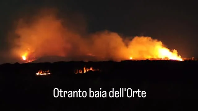 In serata ad Otranto, nella pineta della baia dell'Orte, si è verificato un incendio di vaste dimensioni, a causa del fo