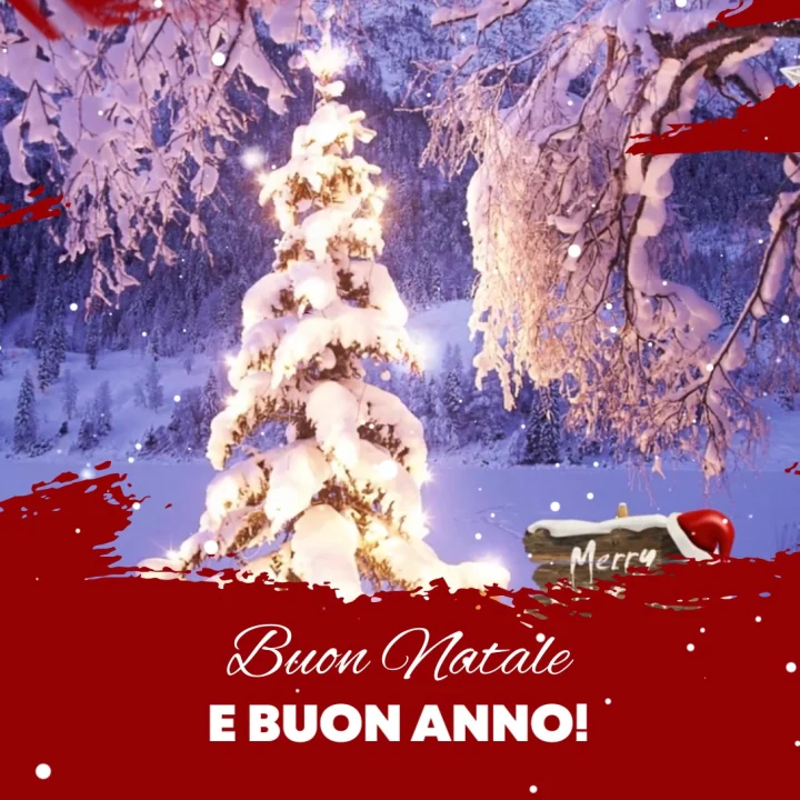 Auguri di Buon Natale e di Buon Anno!